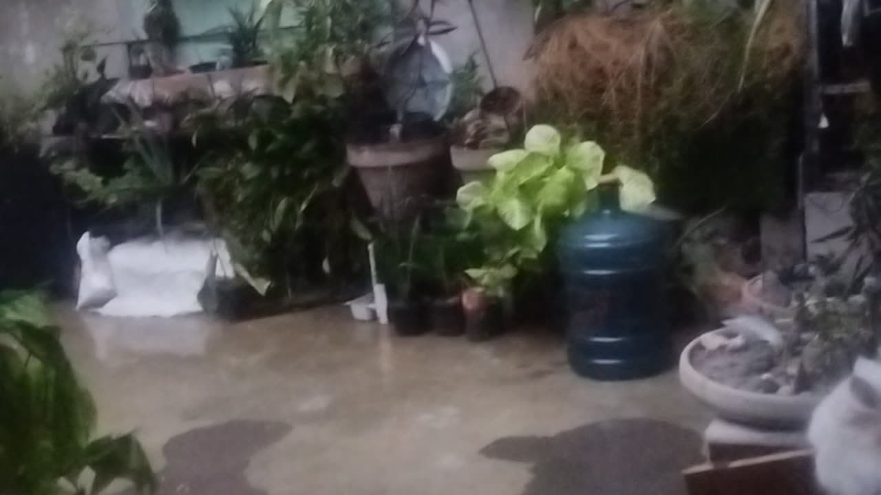 Barish