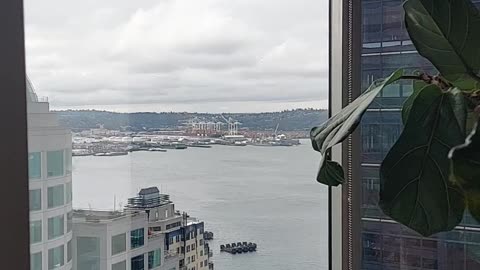 Seattle we work office