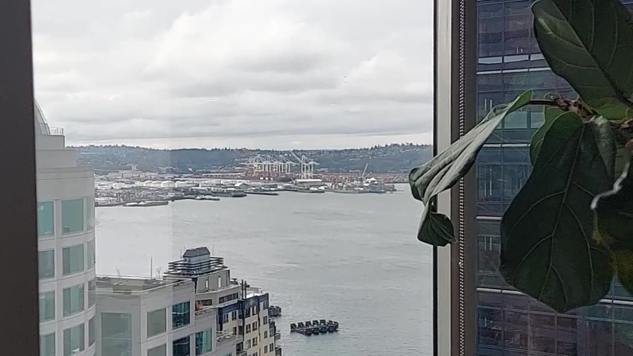 Seattle we work office