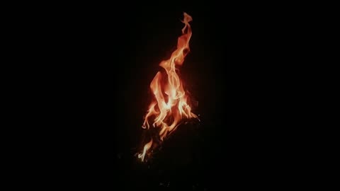 Relax by a cosy campfire and the sound of nature