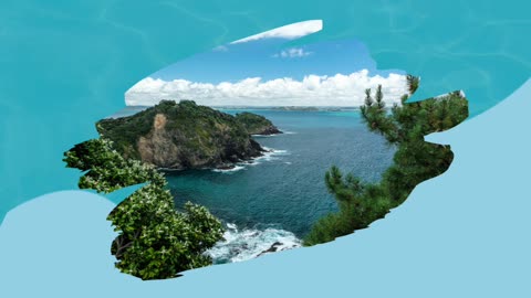 Study in New Zealand