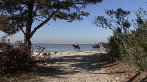 Florida horseback riders on the shore