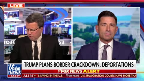 Deportation plan will be a 'sustained effort over time,' says ex-DHS Sec Wolf