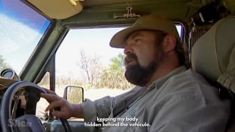 African King of the Jungle