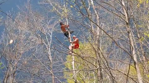 Surviving The Wild W Real Life Tarzan #workout #fitness #usa