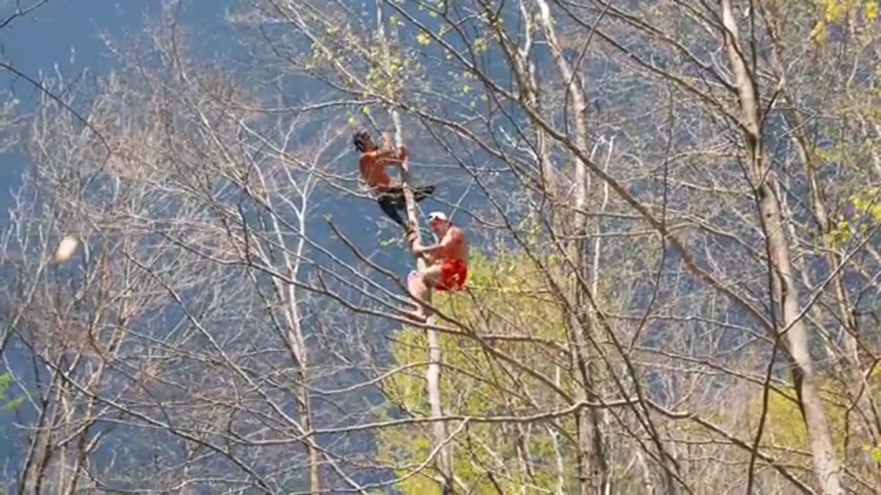 Surviving The Wild W Real Life Tarzan #workout #fitness #usa
