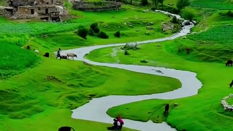 Beauty of natuer