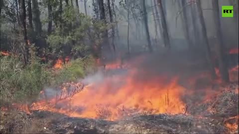Firefighters in Trkiye continue to battle wildfires amid high temperatures.mp4