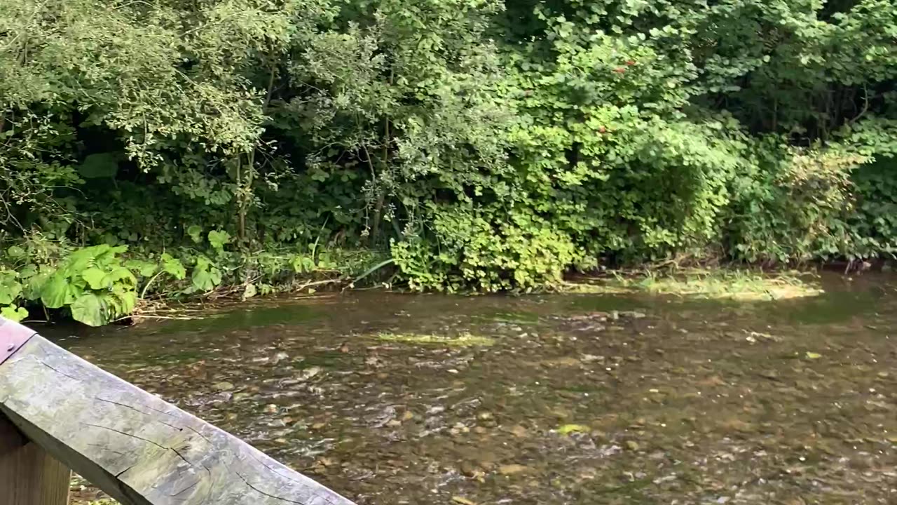 Peaceful relaxation relaxing