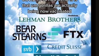 HARAMBE #ToreSays