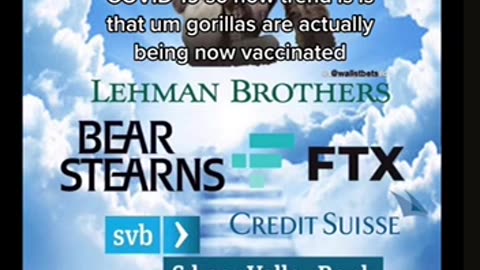 HARAMBE #ToreSays