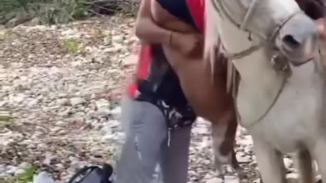 Most funny video