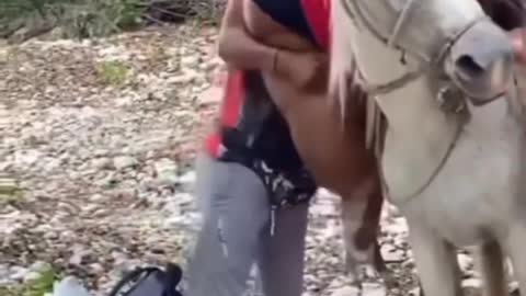 Most funny video