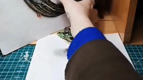 illusion