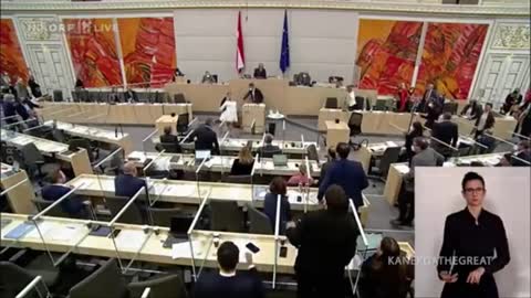 Eva Holzleitner, an Austrian MP, collapsed in parliament