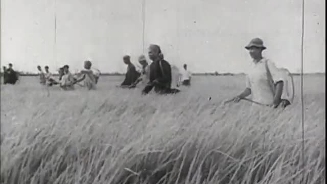 Operações Especiais do Vietnã