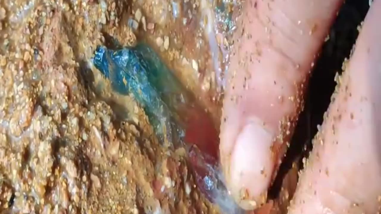 While digging for gems, I found watermelon tourmalines! Ruby, sapphire, agate