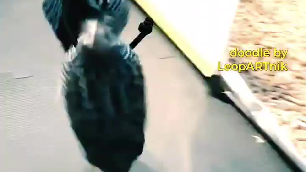Two little chiken fight