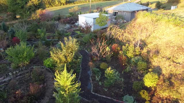kerogarden