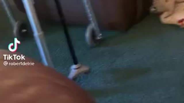 When your grandma tells you how to be free