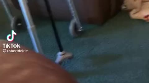 When your grandma tells you how to be free