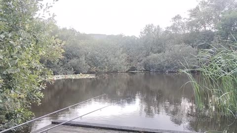 EP 39 reflex baits / 72 hours at the spa