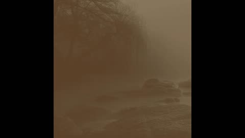 Fog 22