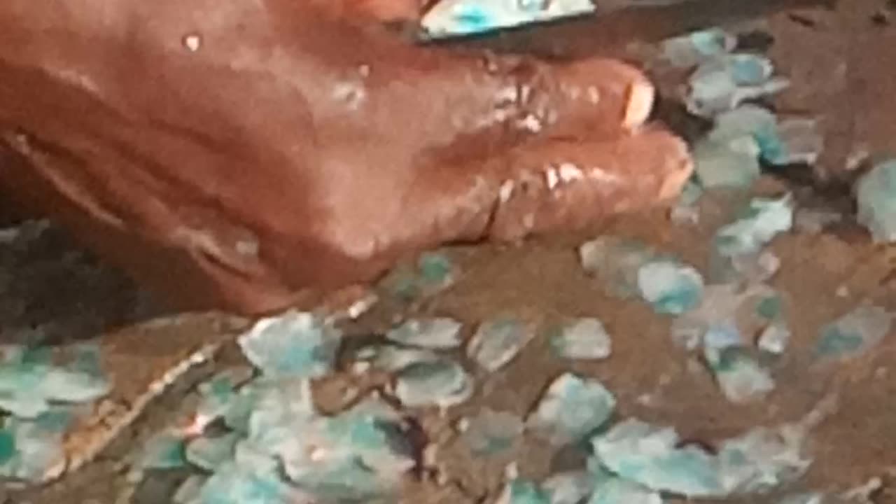 Preparation of Fish food from 🇹🇿