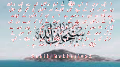 SAHIH Bukhari Hadees no .62. HADEES NABVI in Urdu.