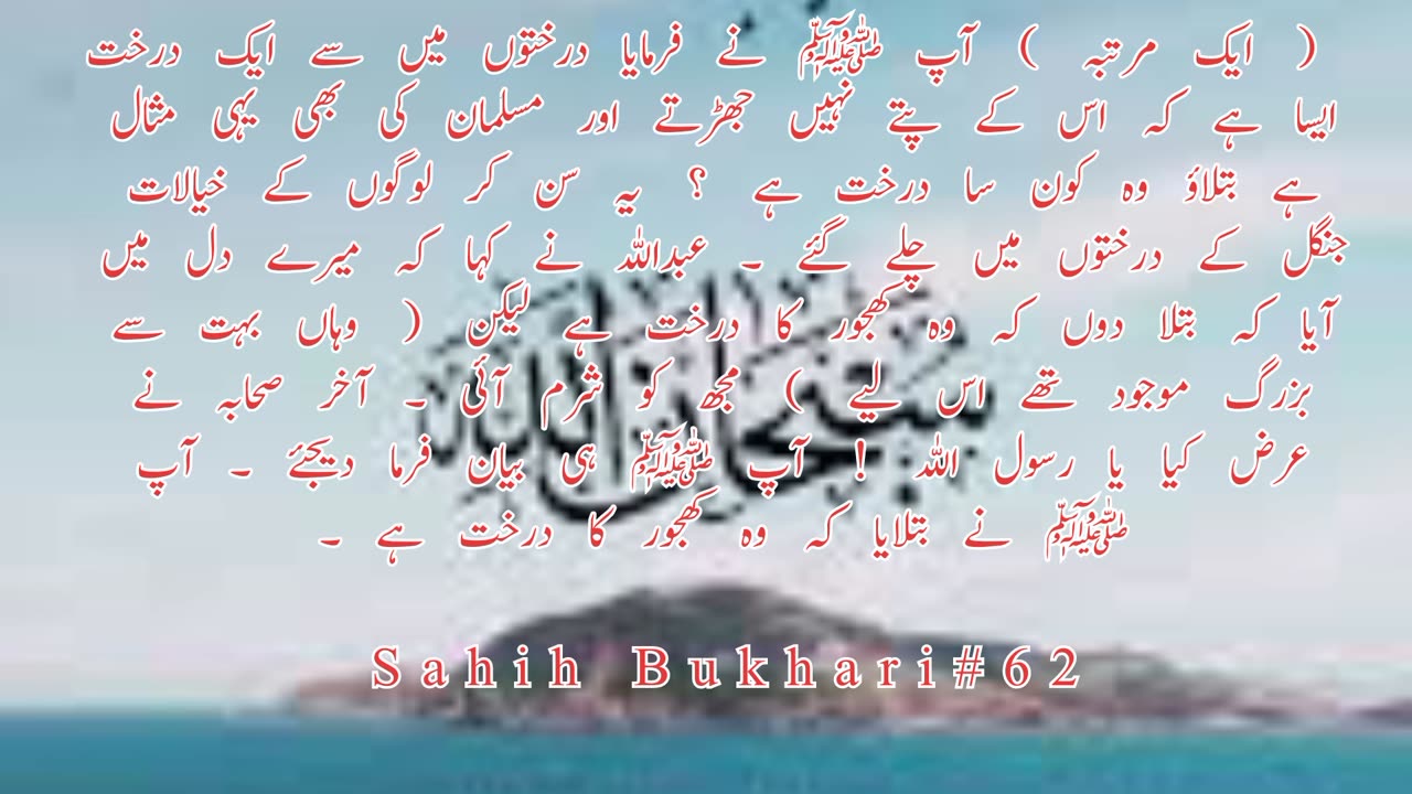 SAHIH Bukhari Hadees no .62. HADEES NABVI in Urdu.