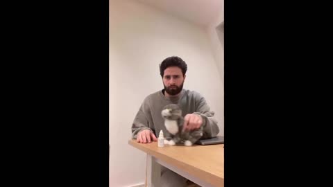 see how smart cats are