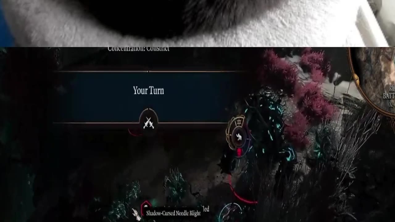 Quickest Wipe Ever