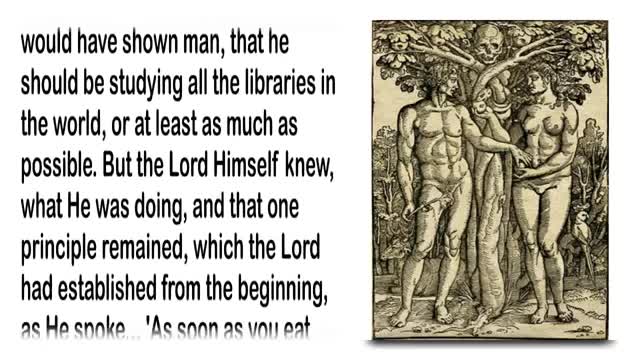 The Ride to eternal Life... Jesus & The Donkey ❤️ Jesus explains Matthew 217
