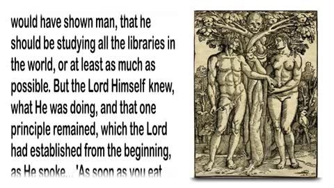 The Ride to eternal Life... Jesus & The Donkey ❤️ Jesus explains Matthew 217
