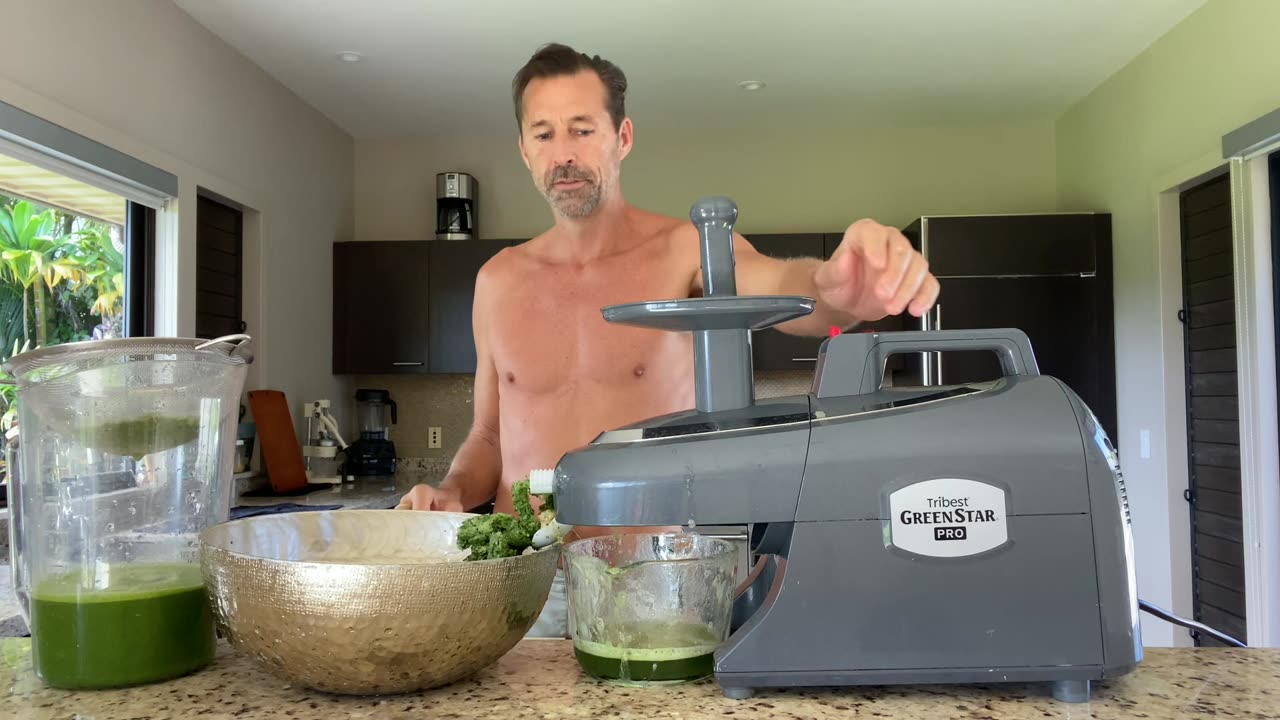 Green Herbs To Cleanse Synthetic Chemicals From Government Catastrophes