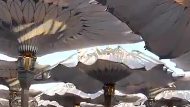 opening interesting tents