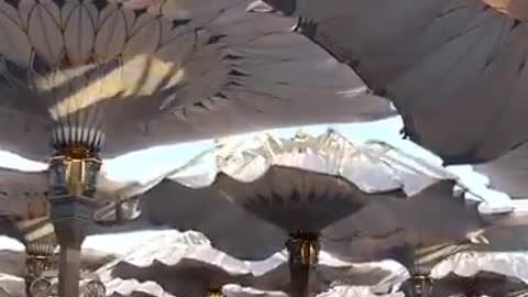 opening interesting tents