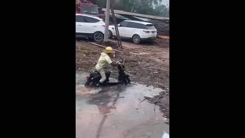 Hilarious Moments Caught on Camera"