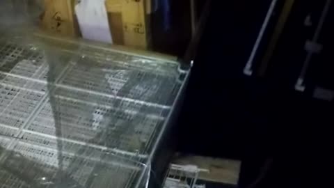 Doors loaded