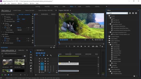 Adobe Premiere Pro – How to use Gaussian Blur effect