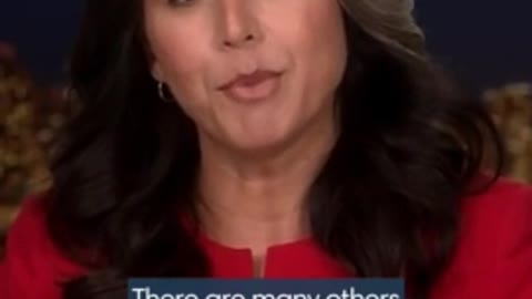 Tucker Carlson Tonight: Tulsi Gabbard on censorship of speech