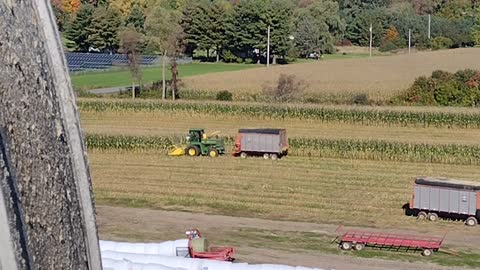 Blowing corn silage into silo