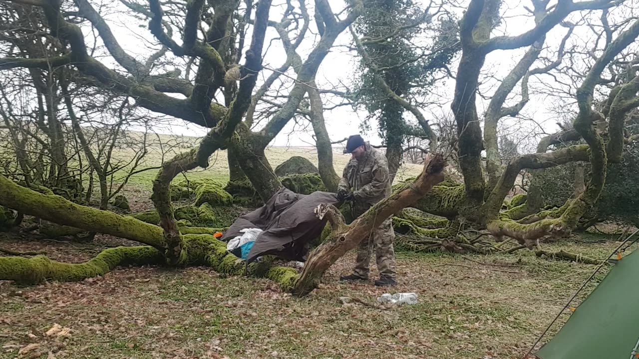 Taking the tarp off the ridge line 22nd March 2023