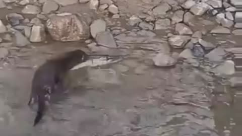 oops... almost escaped 😅