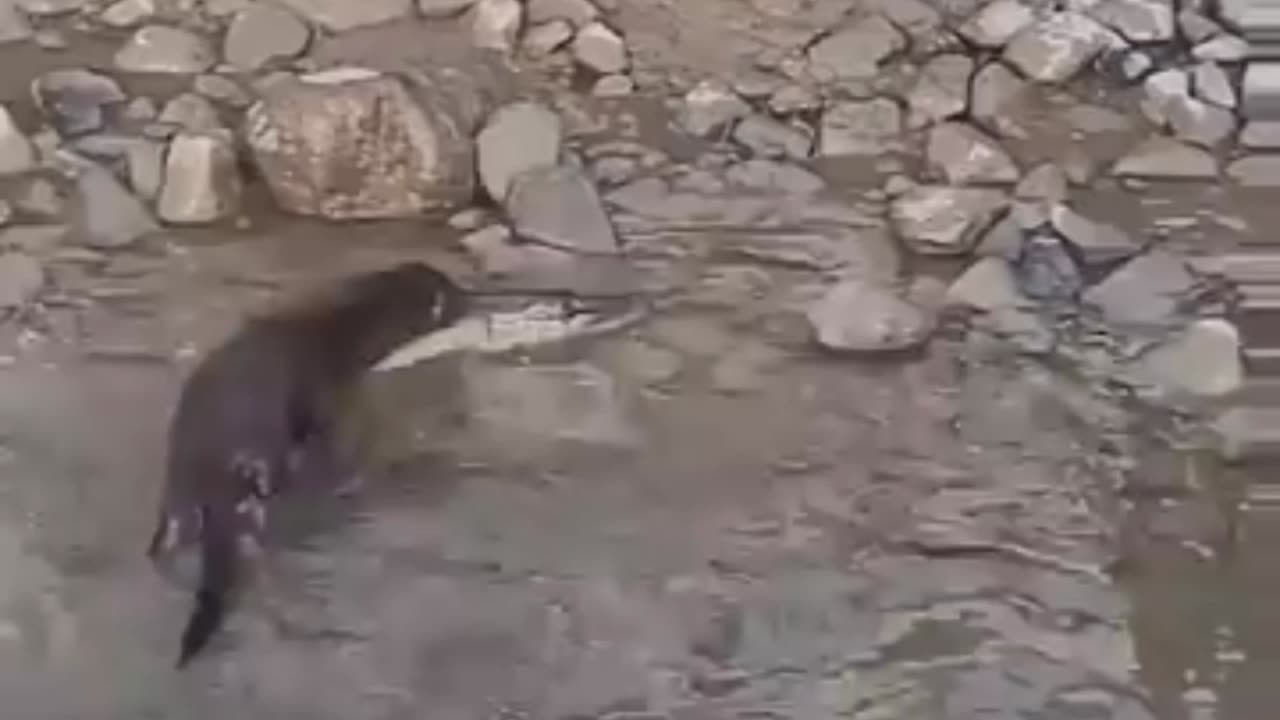oops... almost escaped 😅