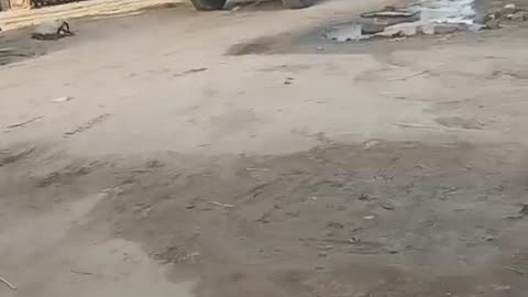 New car 10250000