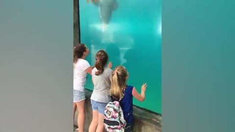 Cutest Kids Videos!!!