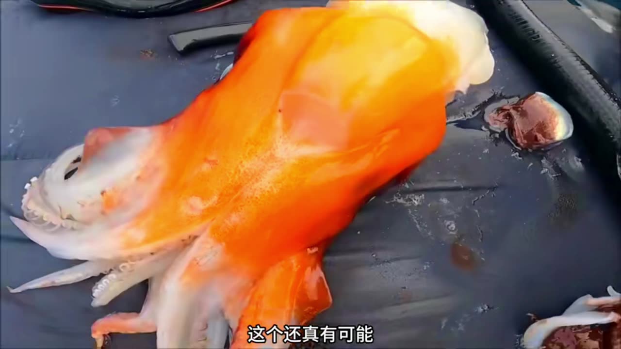 Must Watch New Very Special Funny Video 2023πTop New Comedy Video 2023 π