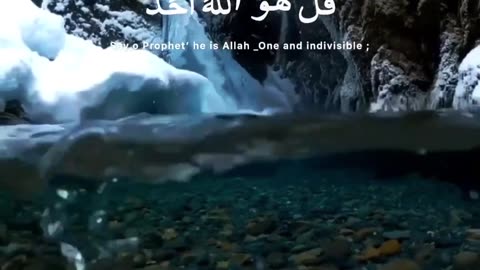 Quran recitation
