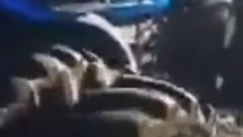 tractors stuck, machines accelerating (13)